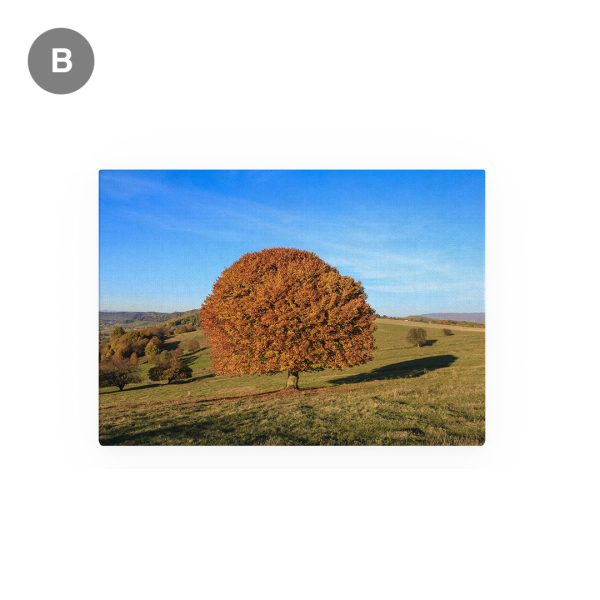 Tablou Canvas - set de toamnă