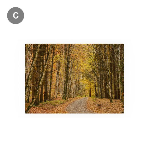 Tablou Canvas - set de toamnă