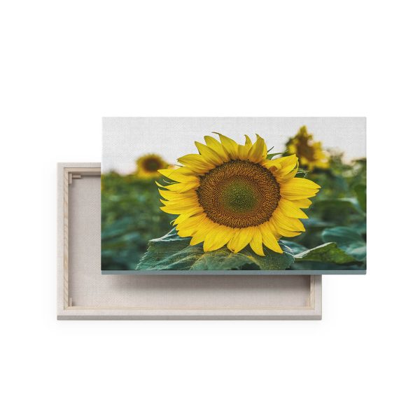 Tablou Canvas - set de vară